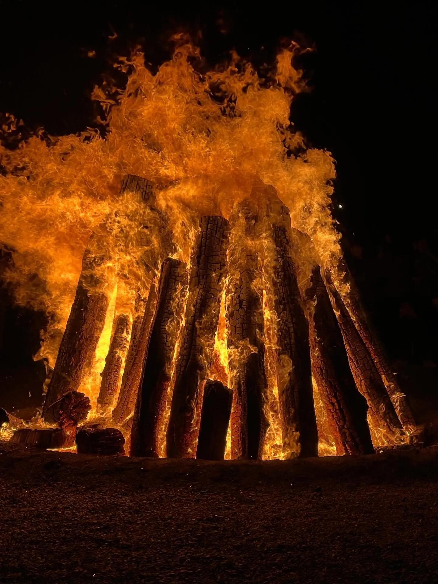 🎍あけましておめでとうございます🎍